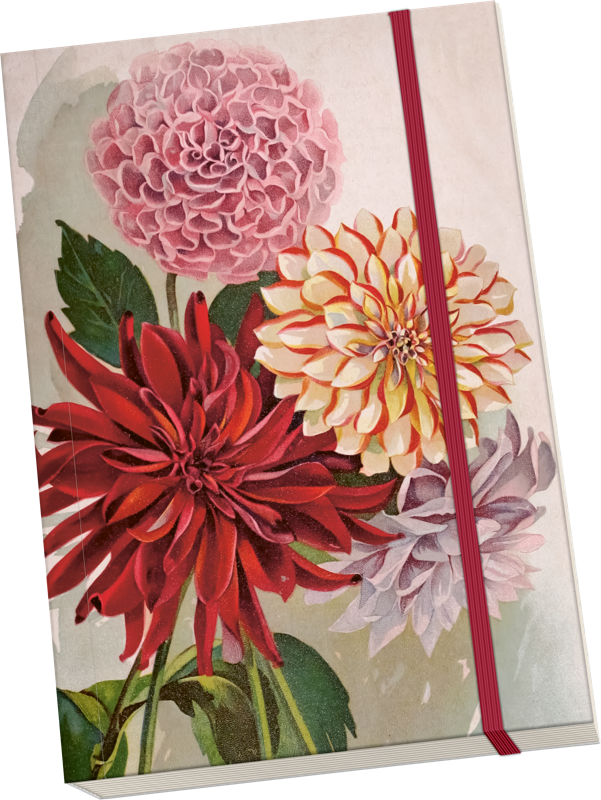 Notizbuch Dahlien