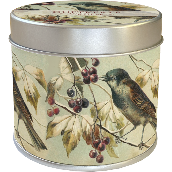 Duftkerze Vanille Motiv Wintervogel