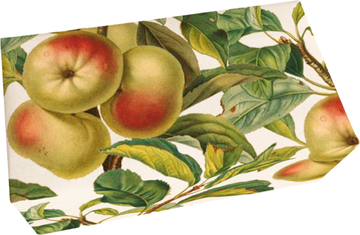 Seife Apfel