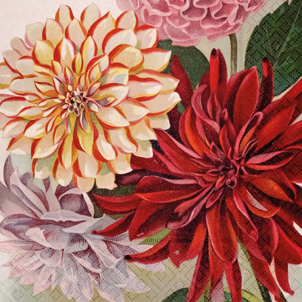 Serviette Dahlien