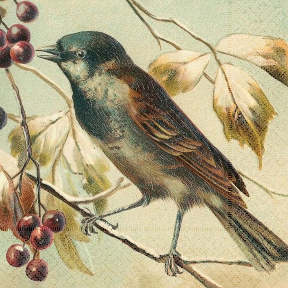 Serviette Wintervogel