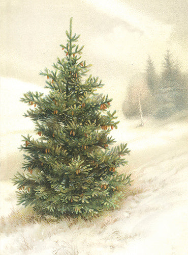 Kleine Doppelkarte mit Kuvert Tannenbaum
