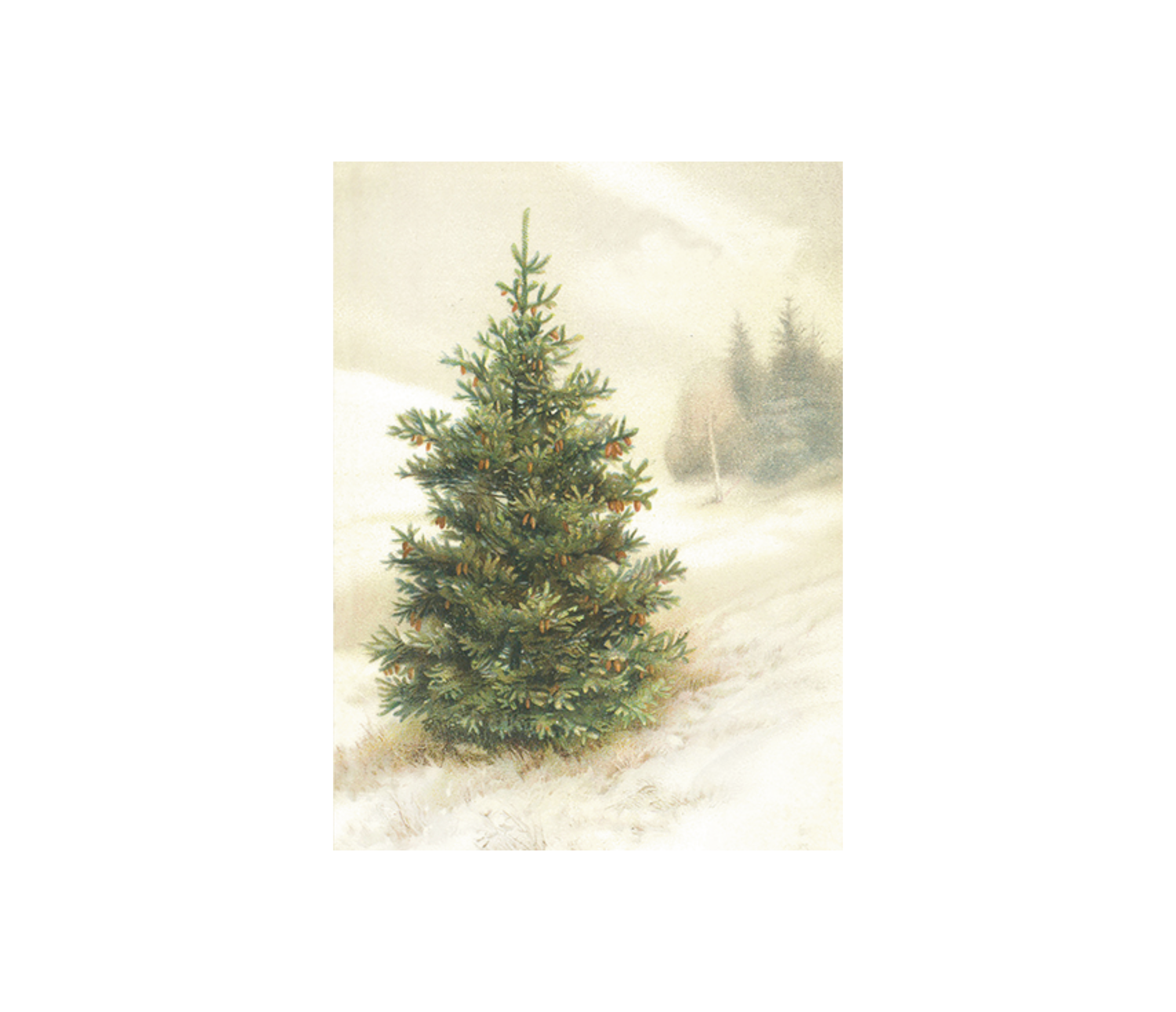 Kleine Doppelkarte mit Kuvert Tannenbaum