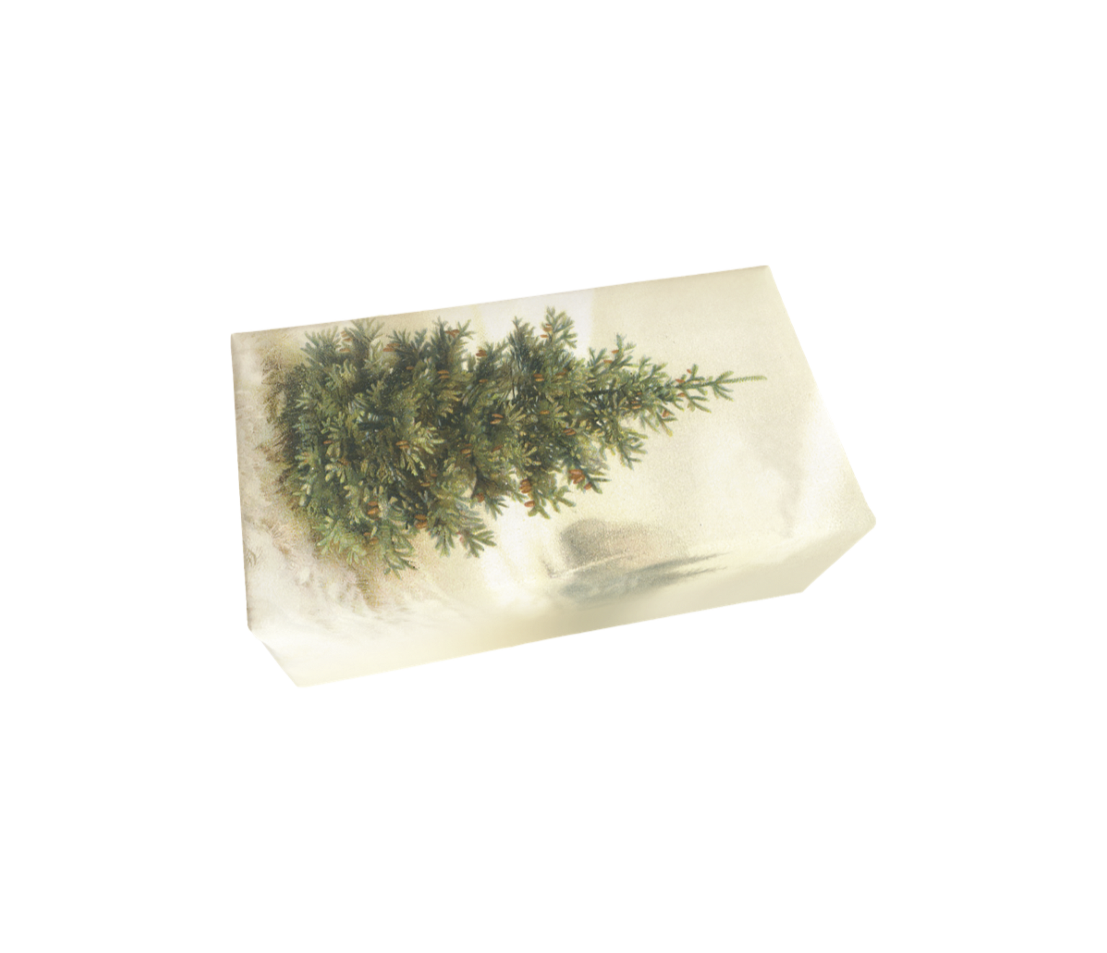 Seife Tannenduft