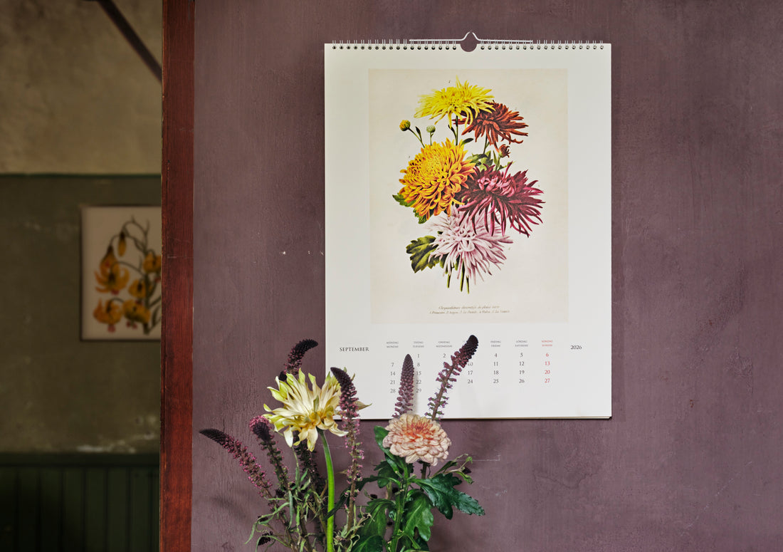 Wandkalender 2026 Vintagedrucke Botanik