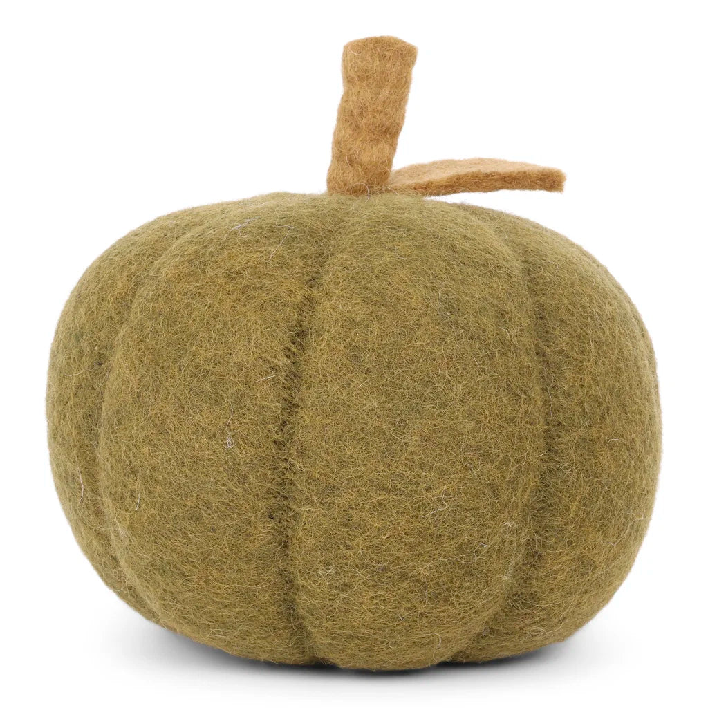 Kürbis grün – Ø 16 cm