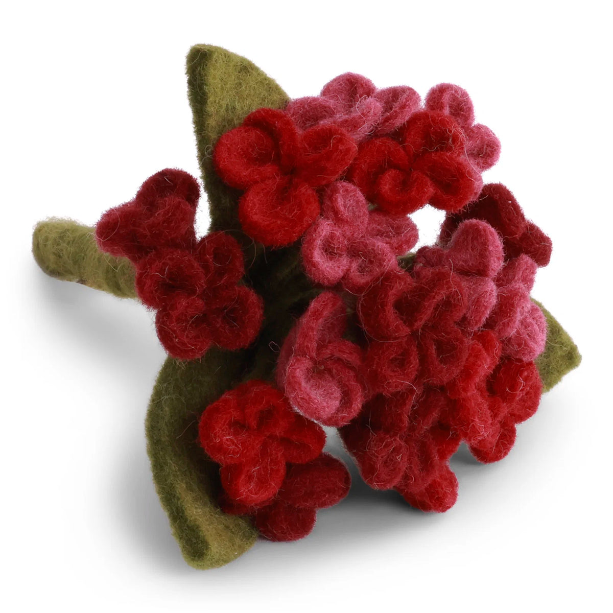 Hortensie – Dunkelrot
