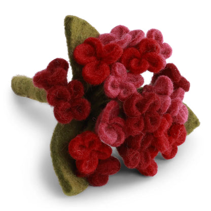 Hortensie – Dunkelrot