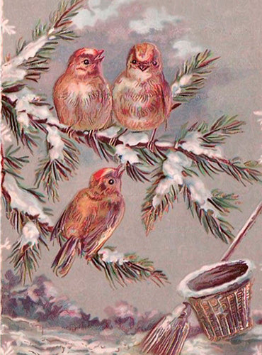 Kleine Doppelkarte mit Kuvert Vögel im Winter