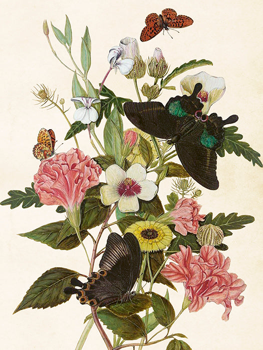 Vintage Druck Schmetterlinge und Blumen 18 x 24 cm
