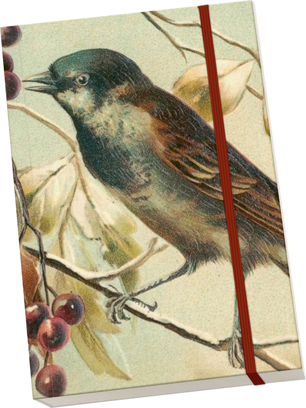 Notizbuch Wintervogel