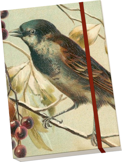 Notizbuch Wintervogel