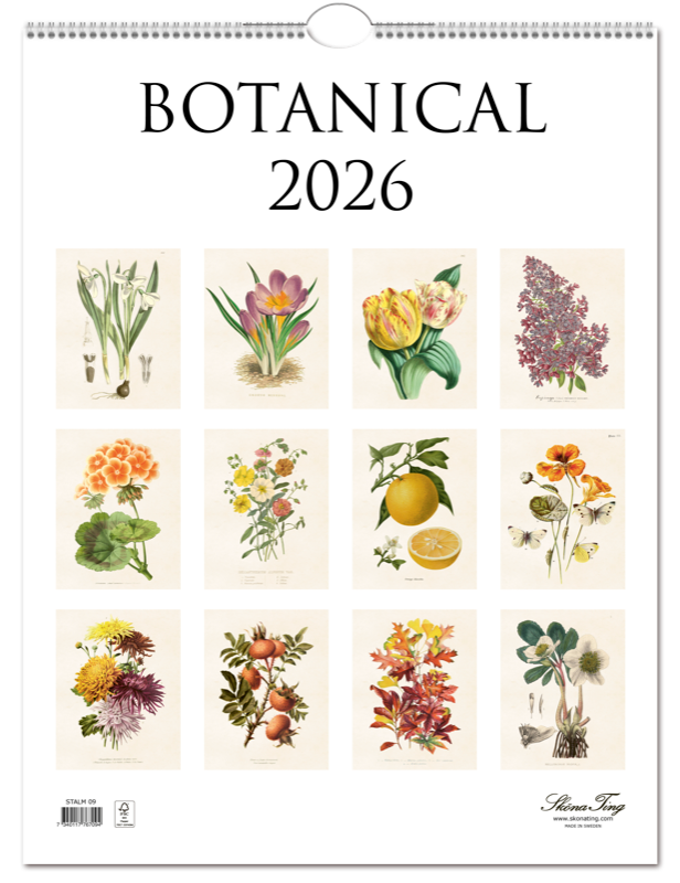 Wandkalender 2026 Vintagedrucke Botanik
