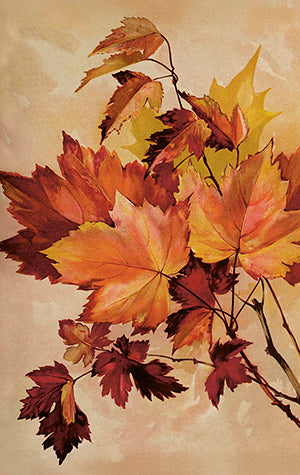 Kleine einseitige Geschenkkarten Herbstmotiv