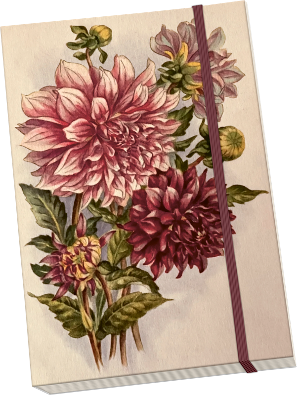 Notizbuch Dahlien