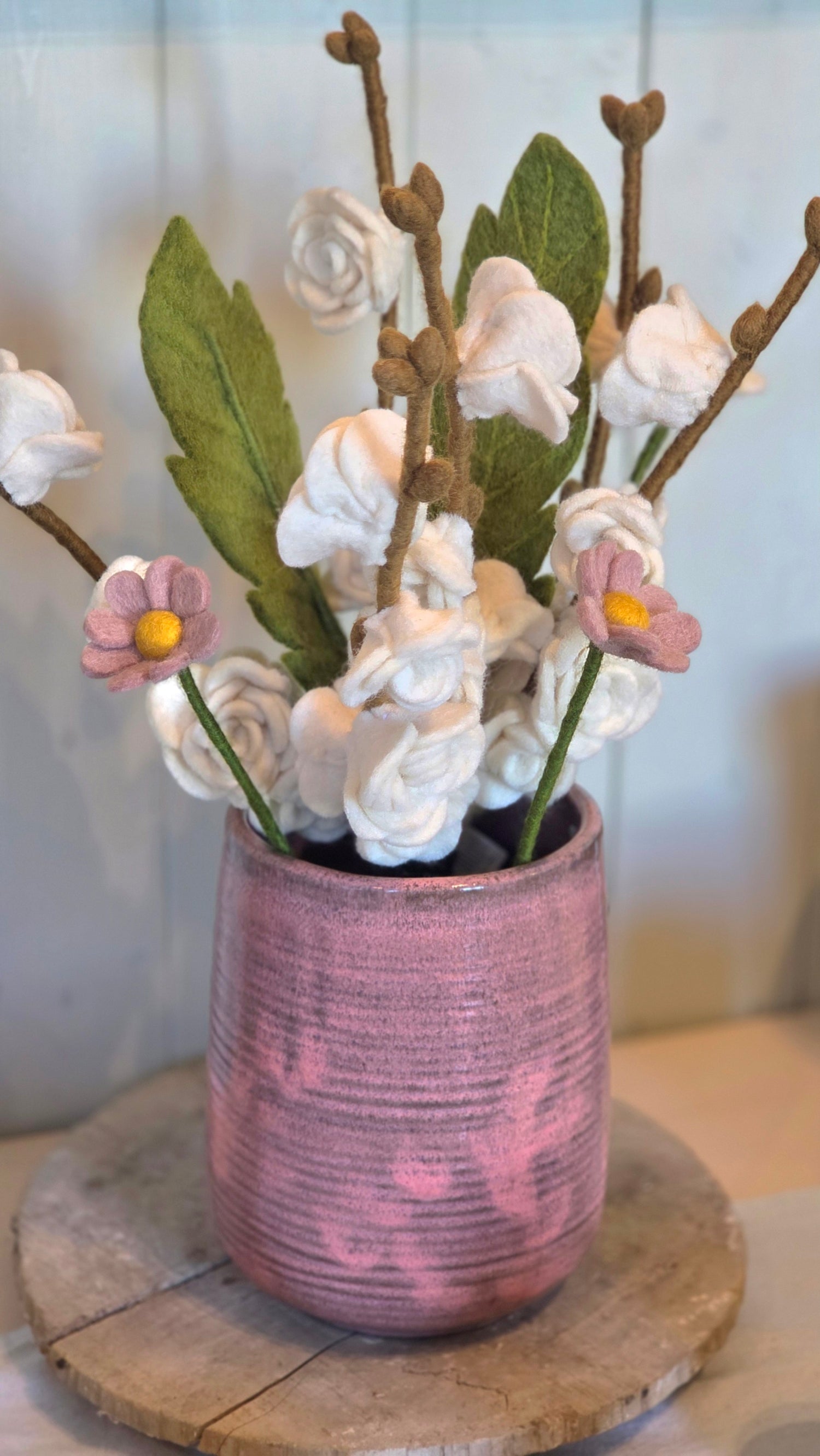 Topf FELINE ROSE MIX