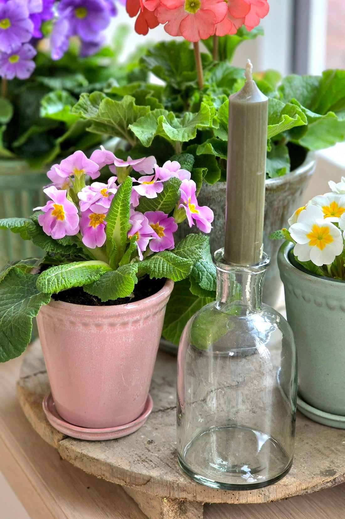 Valentinstag-Special: Lacepot Rose mit Apothekerglas &amp; Stabkerze