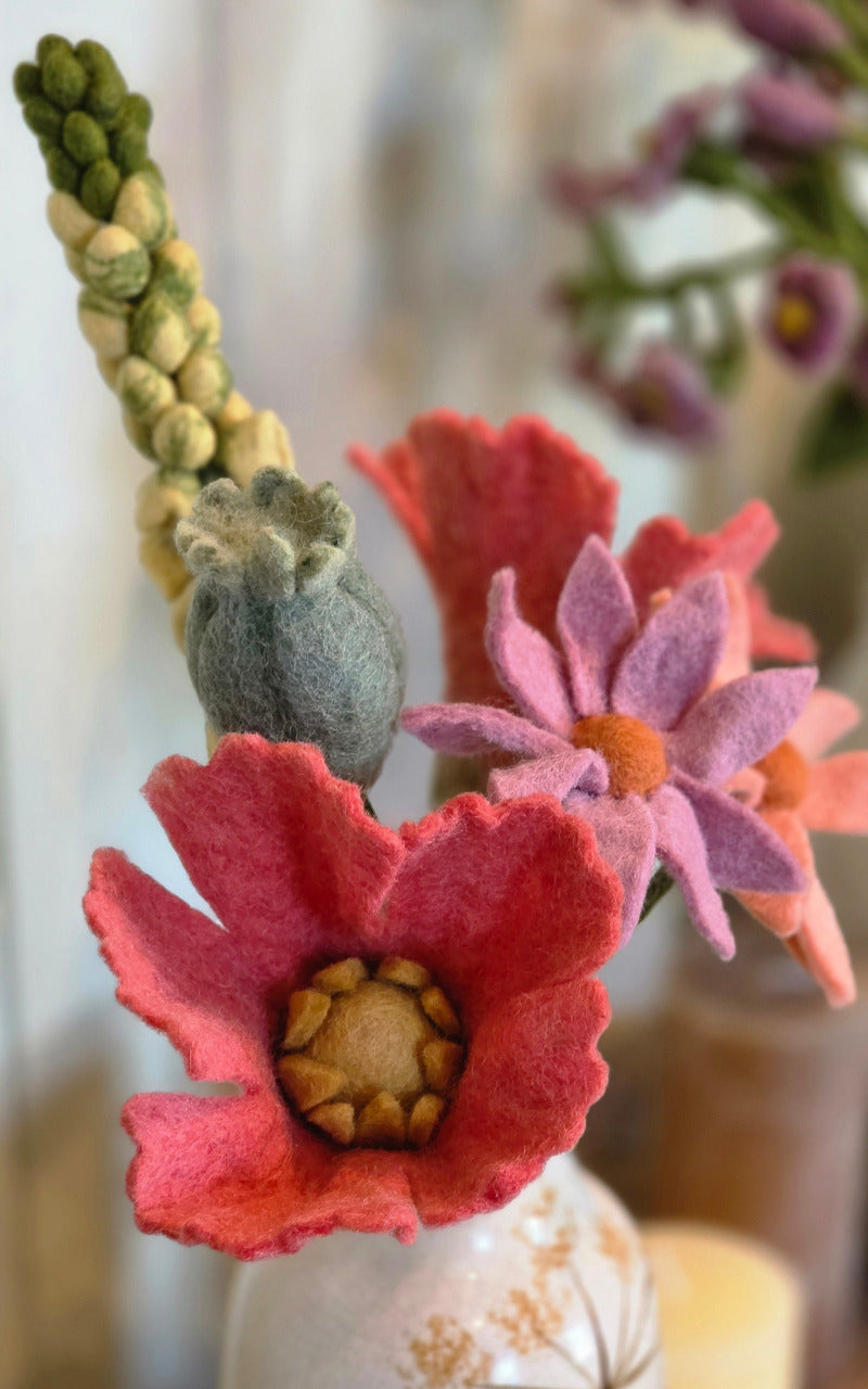 Mohnblume - Himbeere