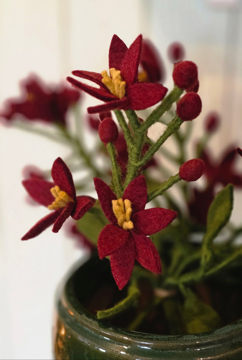 Nova Flower – Dunkelrot