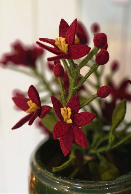 Nova Flower – Dunkelrot