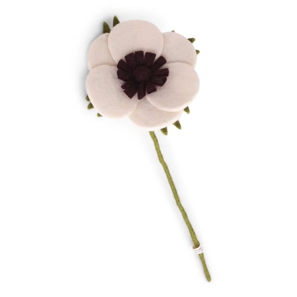 French Anemone - Weiß
