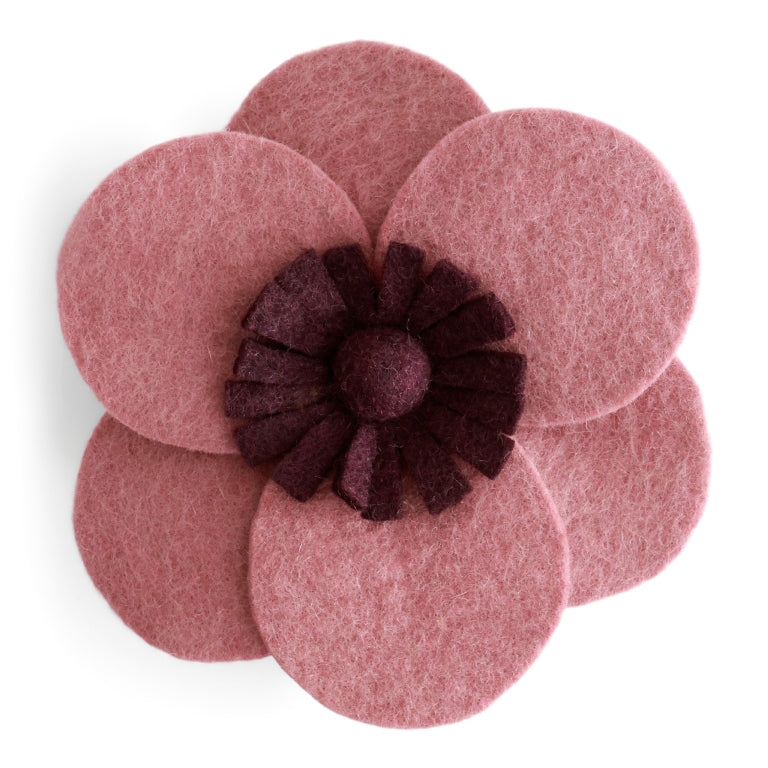 Französische Anemone Wandblume – Helllila