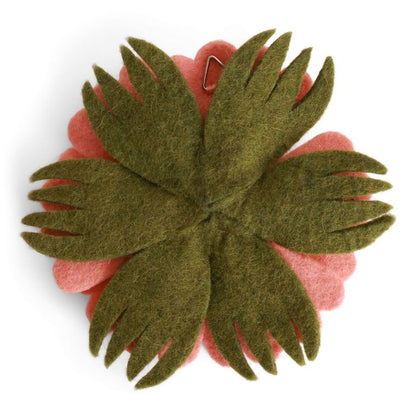 Herbst-Anemone Wandblume – Pfirsich