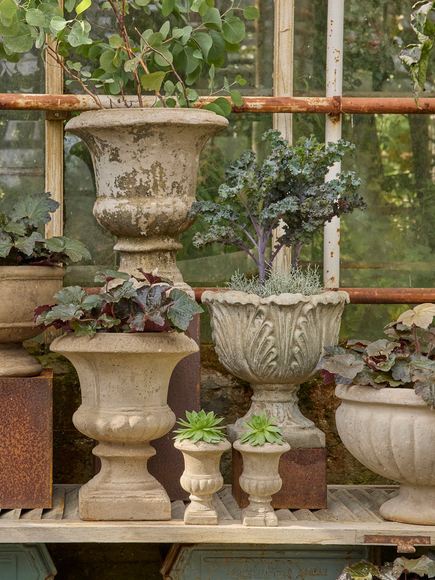 Pflanzpokal TONJA - RAW