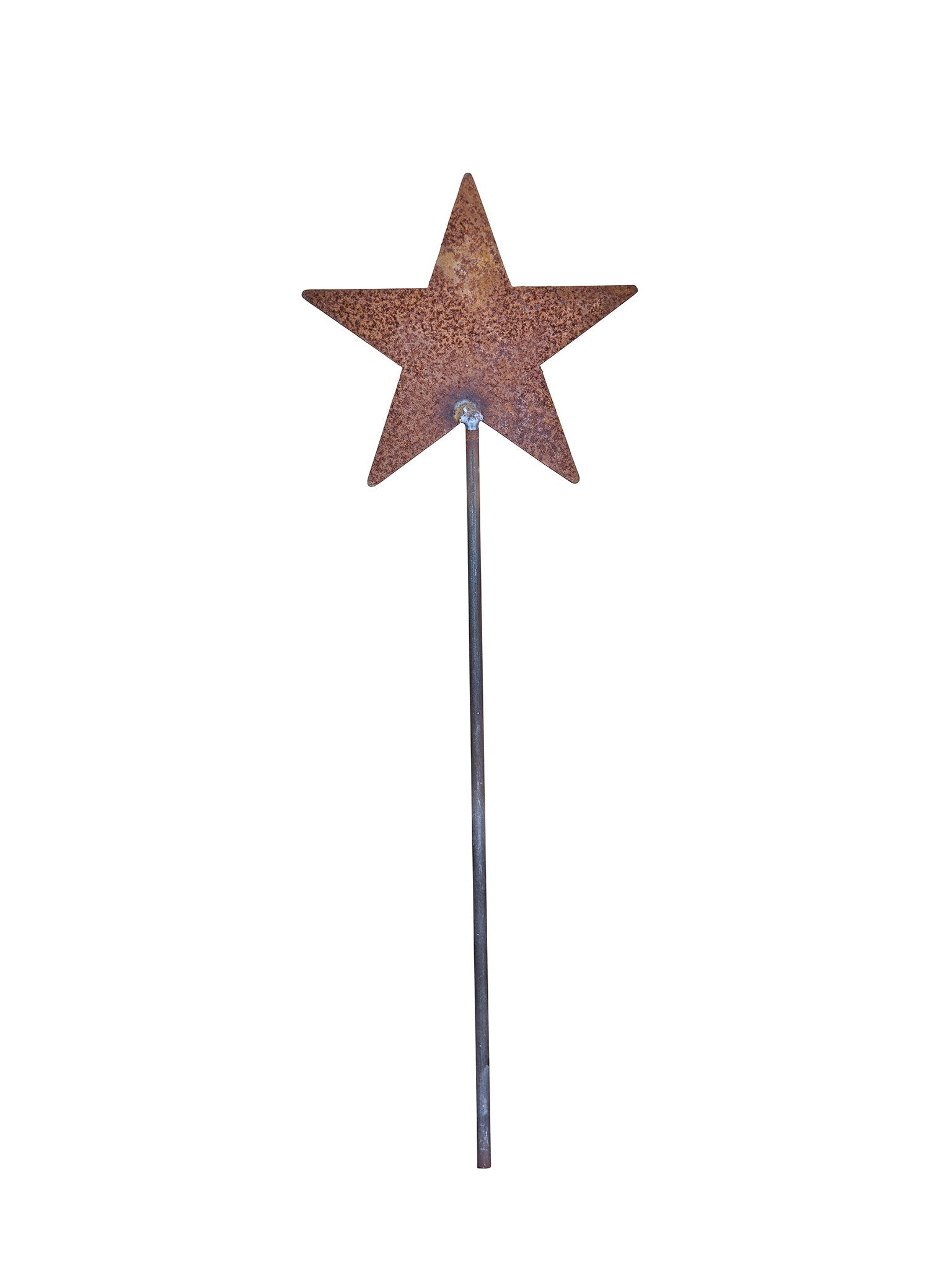 Stern VERONICA - Rost auf Stab