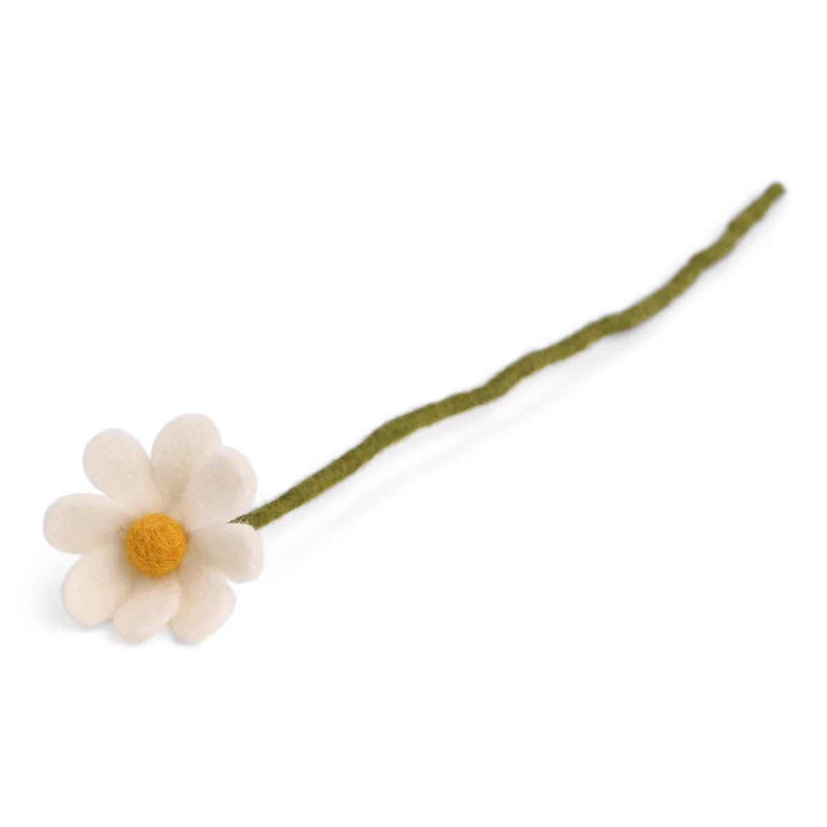 Anemone Weiß