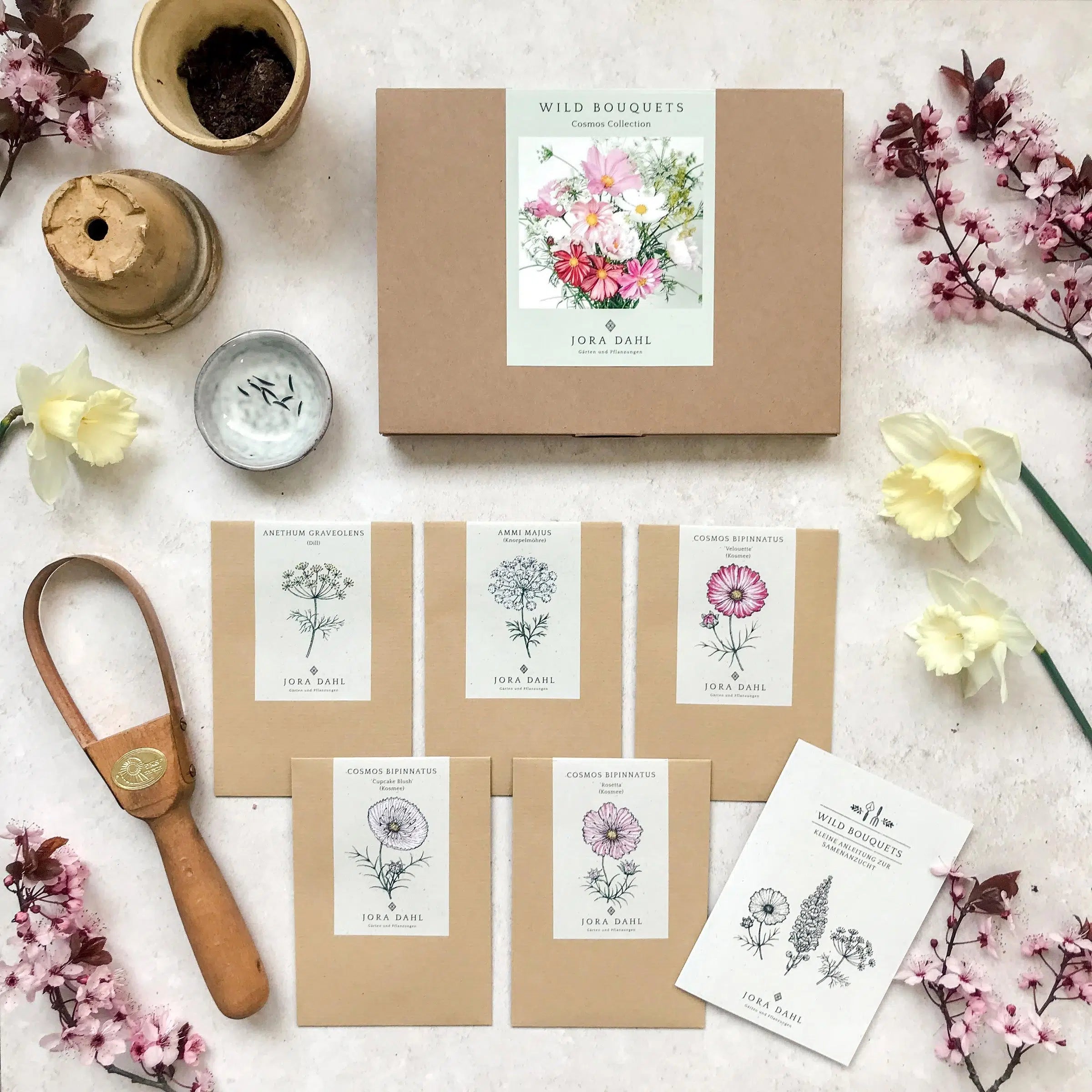 Wild Bouquets Cosmos Collection