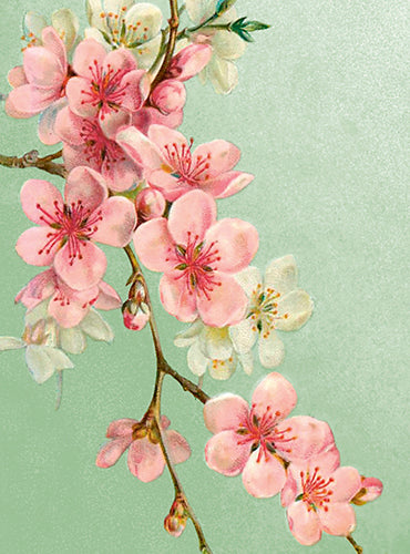 Kleine Doppelkarte mit Kuvert Kirschblüte