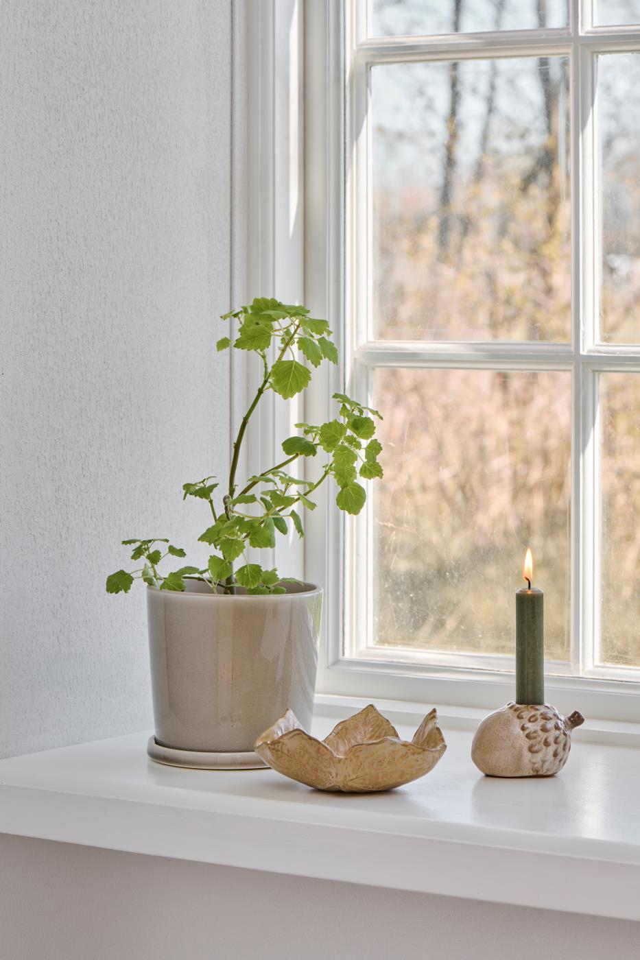 Herbstliche Schale in Laubblattform