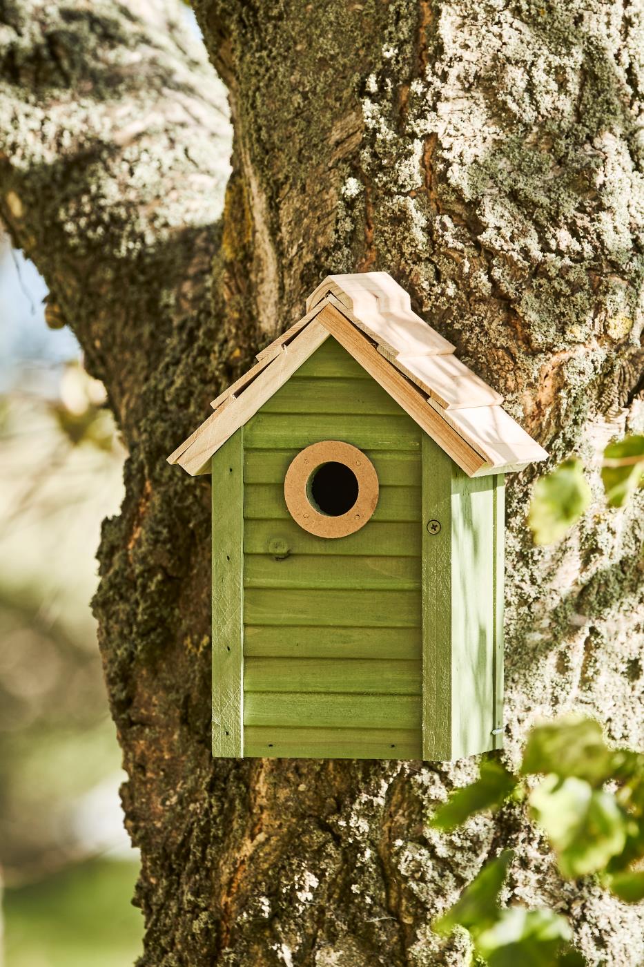 Vogelhaus grün mit naturfarbigem Dach