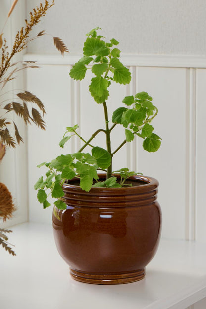 Herbstlicher Topf mit Rillen