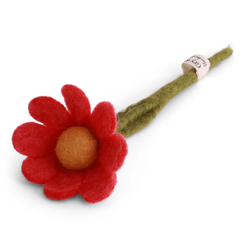 Anemone - melon - 17 cm