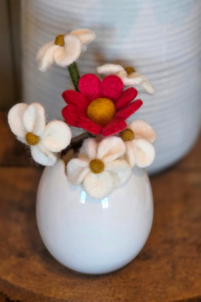 Vergissmeinnicht - Weiss - 18 cm