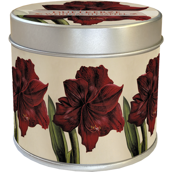 Duftkerze Bratapfel Motiv Amaryllis