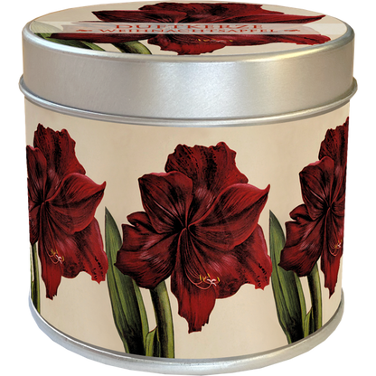 Duftkerze Bratapfel Motiv Amaryllis