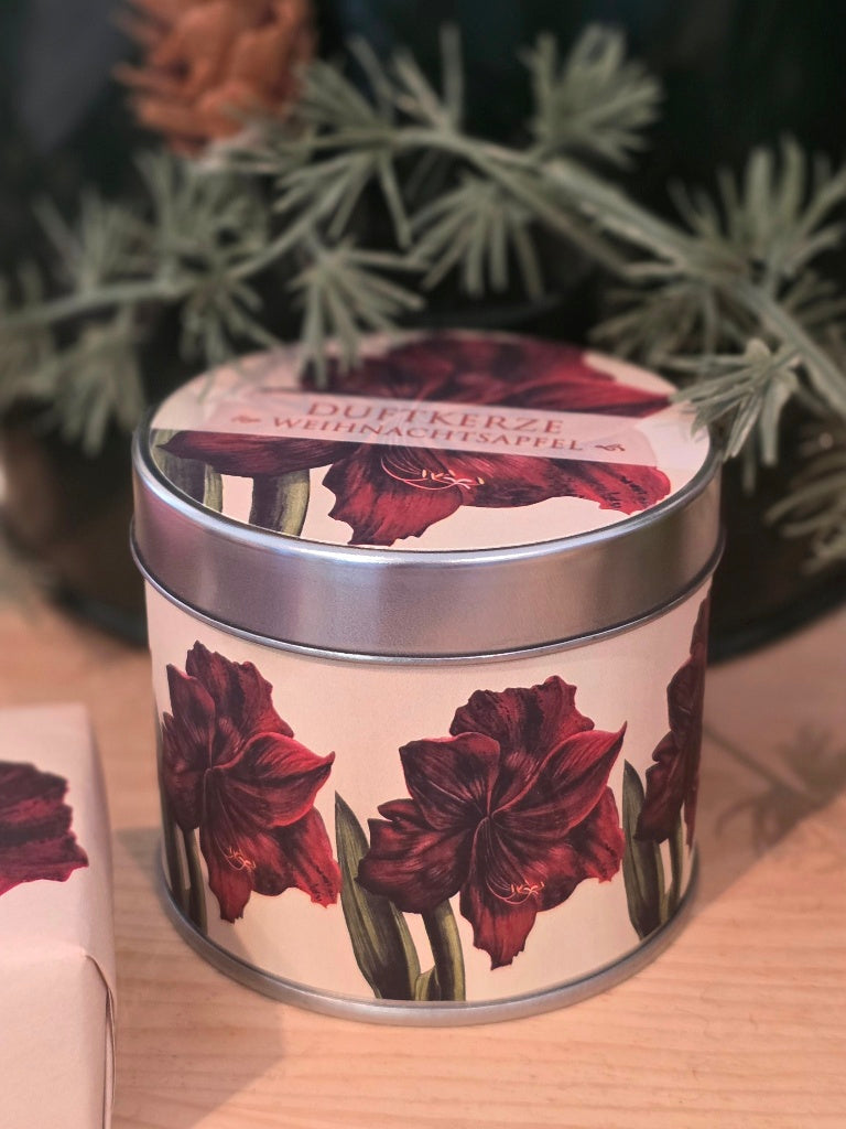 Duftkerze Bratapfel Motiv Amaryllis