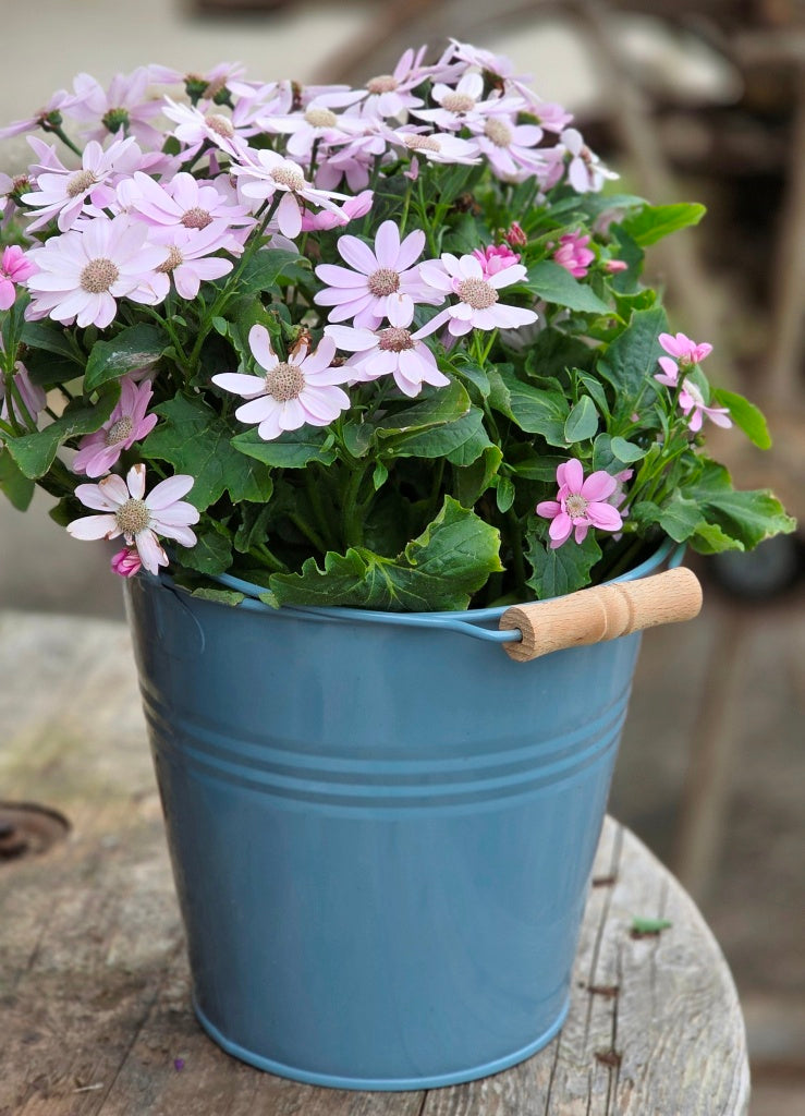 Zinkeimer blau - 3er Set