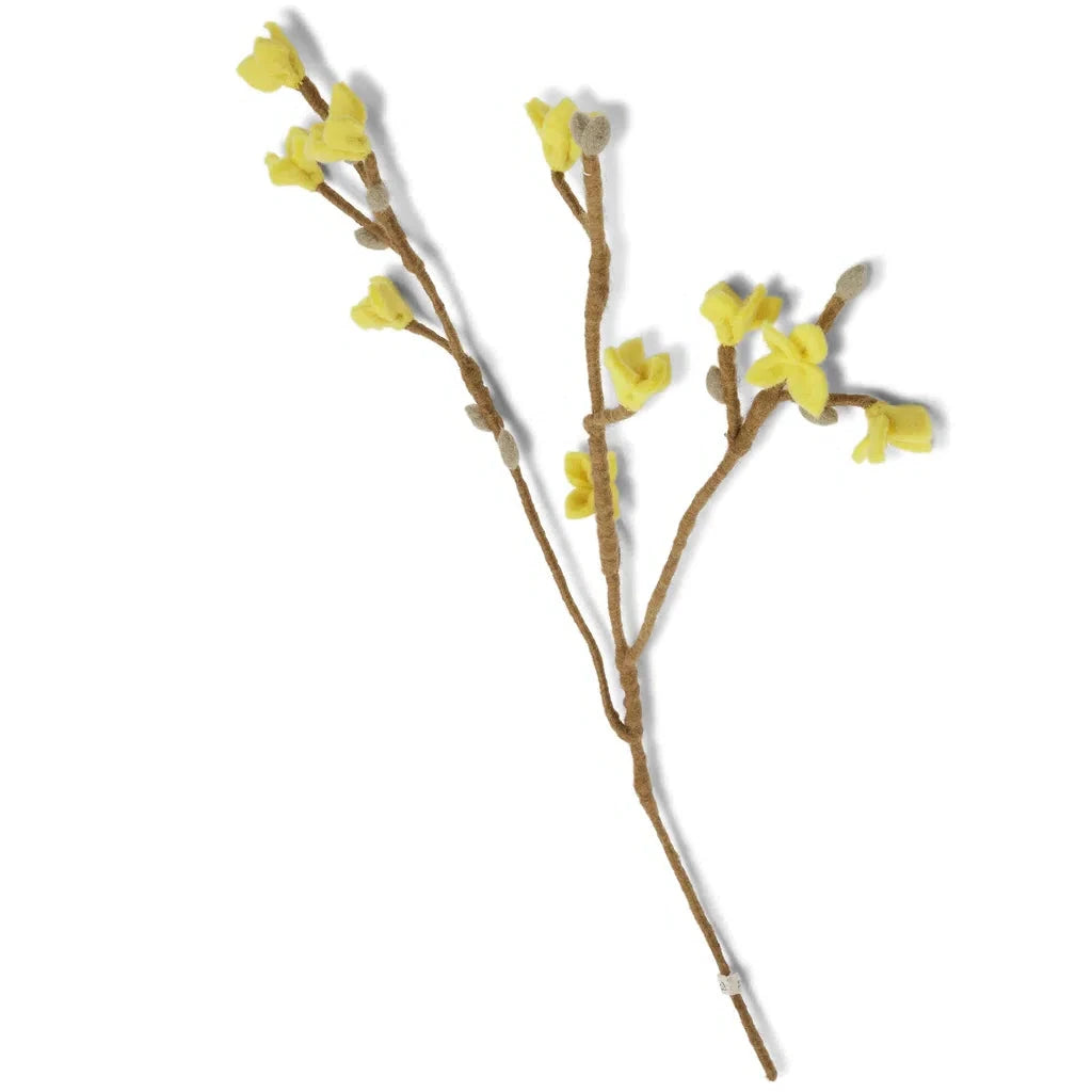 Forsythienzweig