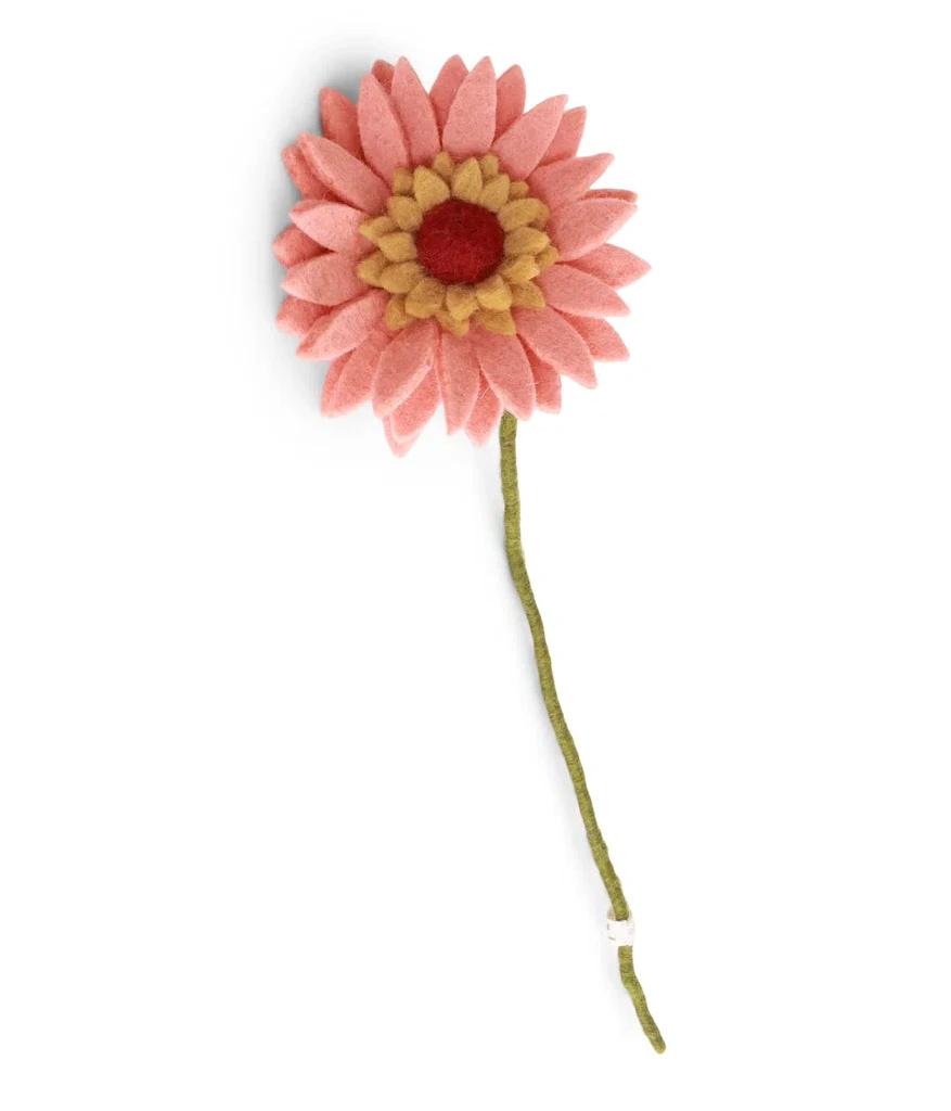 Gerbera - Pfirsich