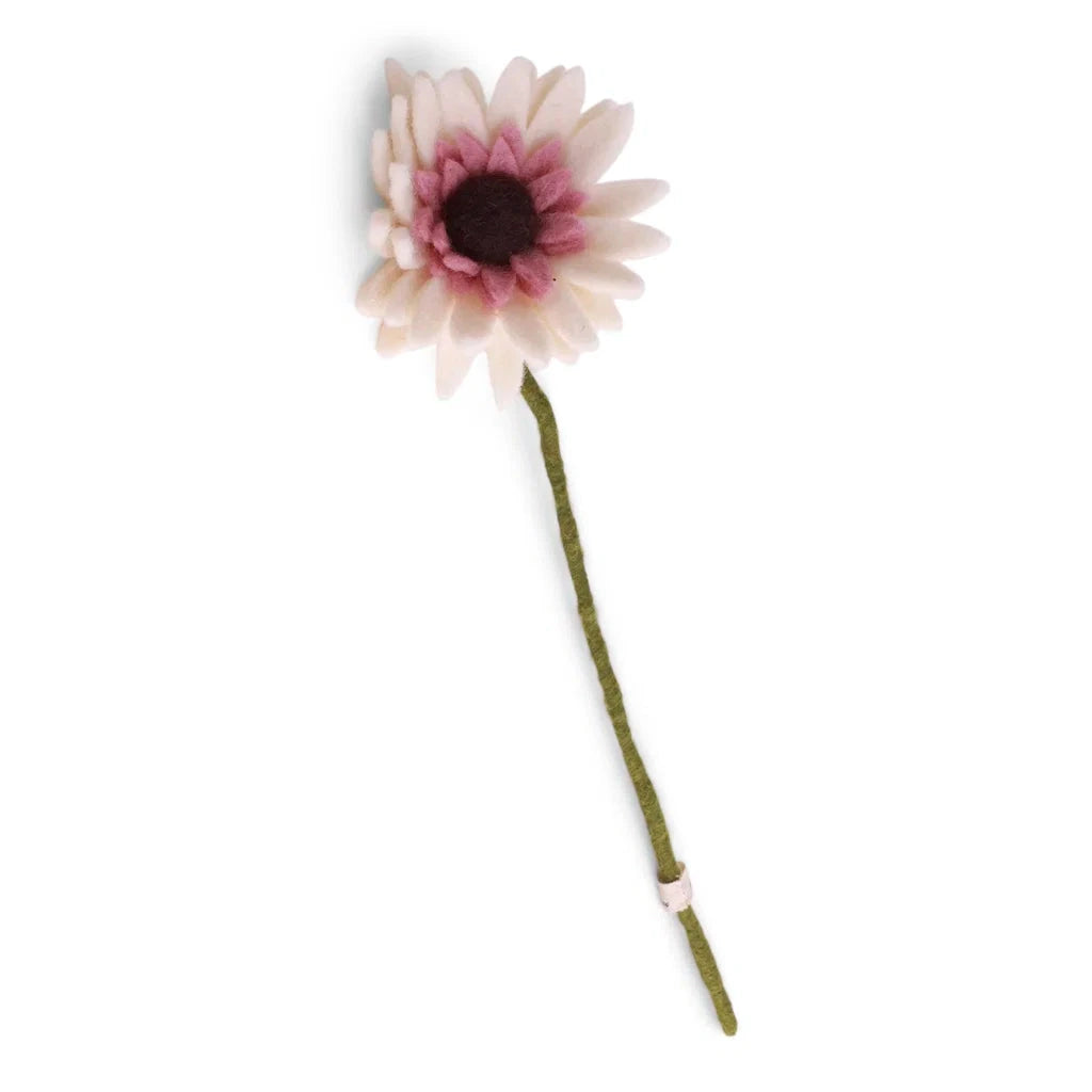 Gerbera - Weiß