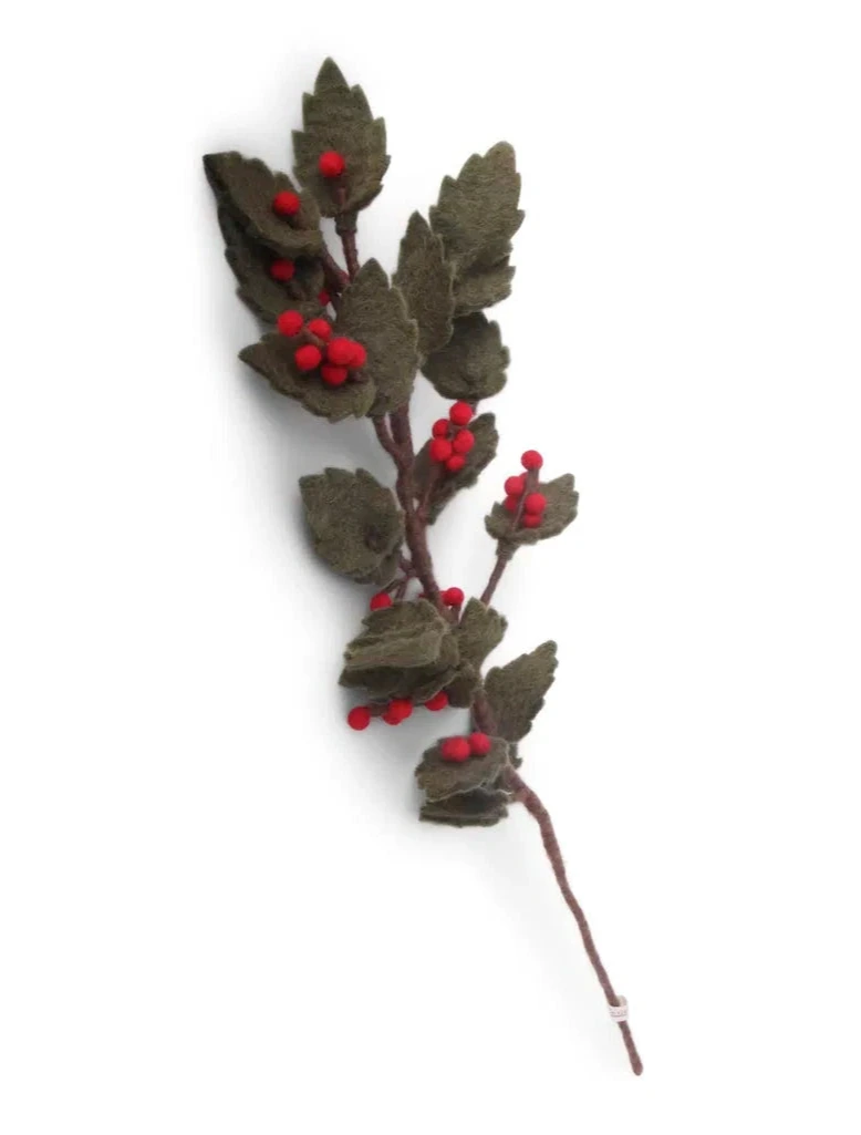 Blätterzweig Stechpalme - Ilex