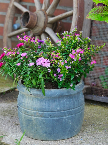 Pflanztopf JEANETTE - CHOKO PATINA