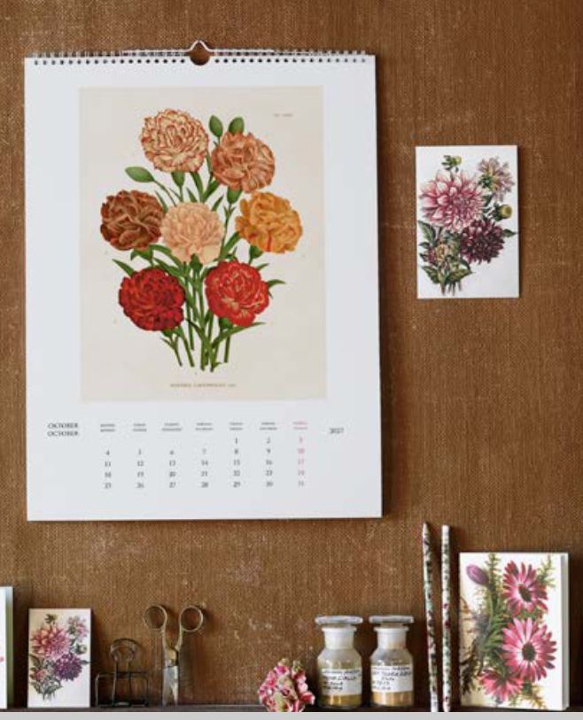 Wandkalender 2027 Vintagedrucke Botanik