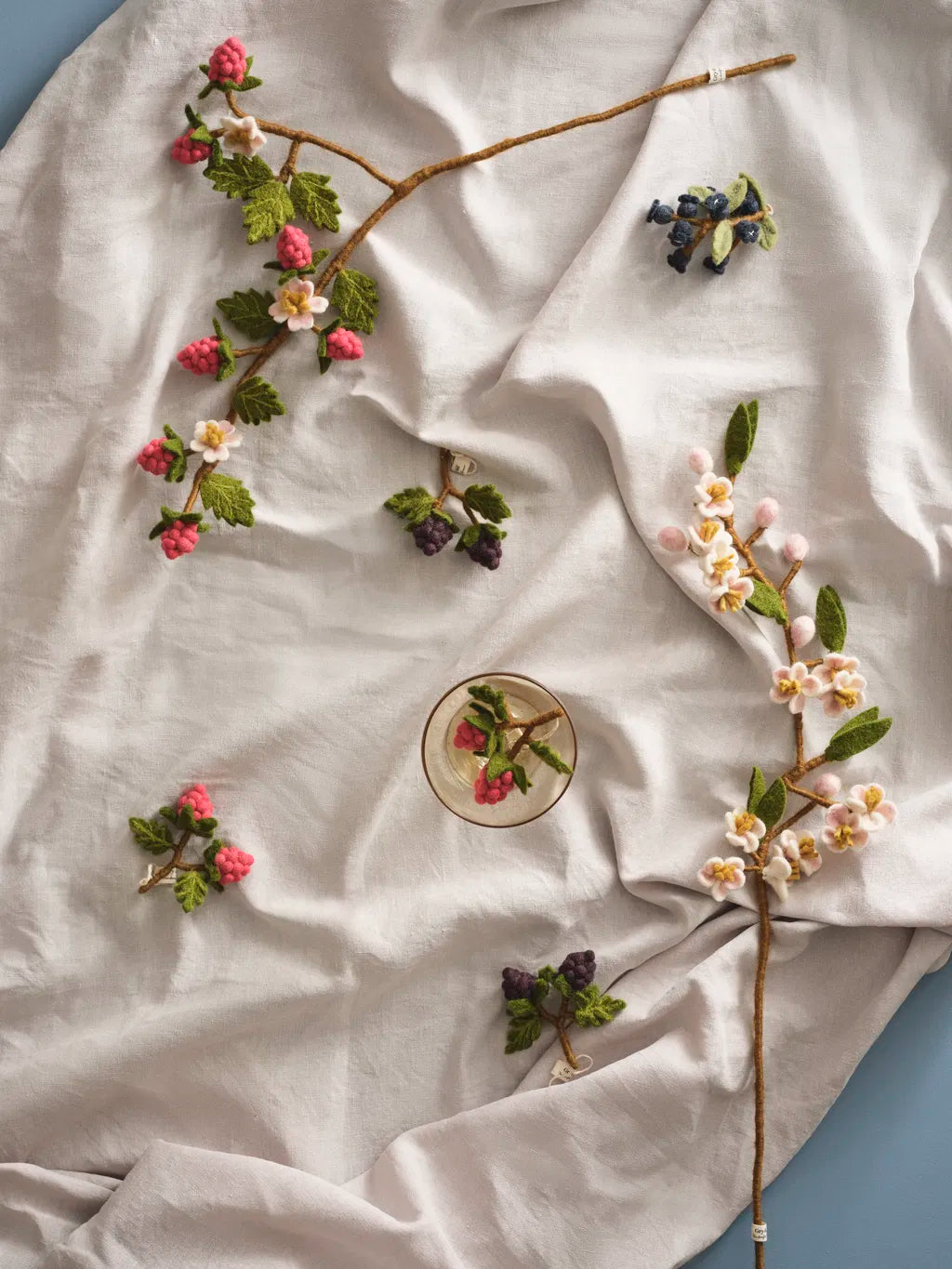 Himbeerzweig mit Blüten