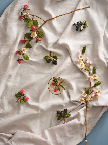 Himbeerzweig mit Blüten