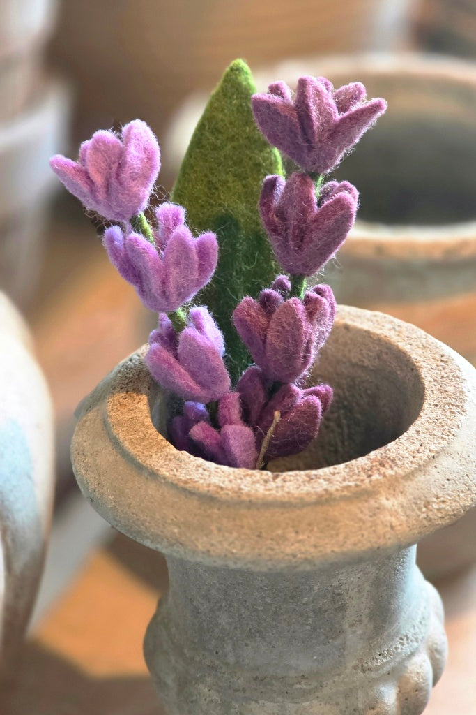 Lavendel - 3er Set